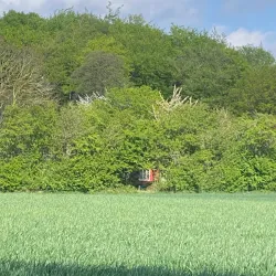 Knud Lavard's Grave - Ringsted