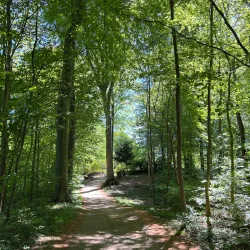 Ringsted Golf Club - Ringsted