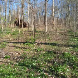 Ringsted Golf Club - Ringsted