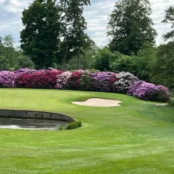 Ringsted Golf Club - Ringsted