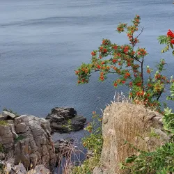 Bornholm Art Museum (Bornholms Kunstmuseum) - Rønne