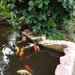 Bornholm Butterfly Park - Rønne
