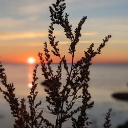Bornholm's Coastal Paths - Rønne