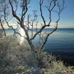 Bornholm's Coastal Paths - Rønne