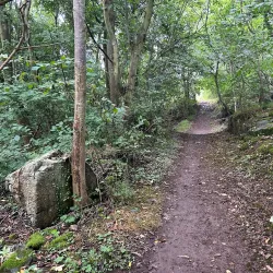 Bornholm's Coastal Paths - Rønne