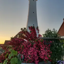 Rønne Harbor - Rønne