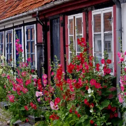 Rønne's Old Town - Rønne