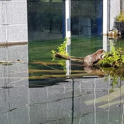 Aqua Aquarium & Wildlife Park - Silkeborg