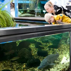 Aqua Aquarium & Wildlife Park - Silkeborg
