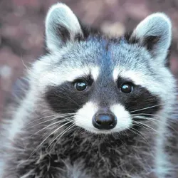 Aqua Aquarium & Wildlife Park - Silkeborg