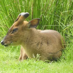 Aqua Aquarium & Wildlife Park - Silkeborg