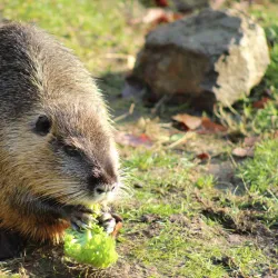 Aqua Aquarium & Wildlife Park - Silkeborg