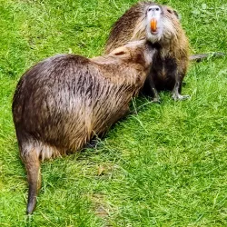 Aqua Aquarium & Wildlife Park - Silkeborg