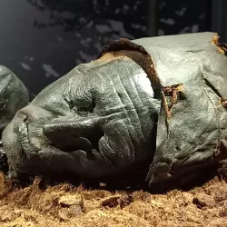 Silkeborg Art Museum - Silkeborg