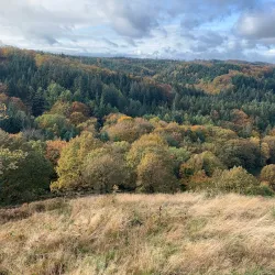 Silkeborg Lakes - Silkeborg