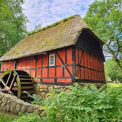 Hjerl Hede Open Air Museum - Skive