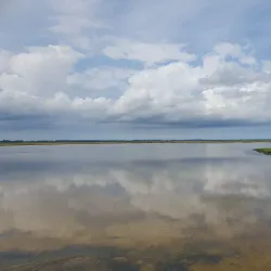 Louns Bredning Nature Reserve - Skive