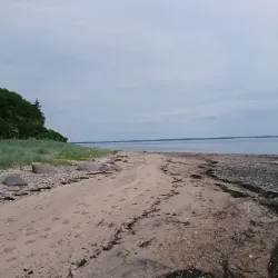 Louns Bredning Nature Reserve - Skive