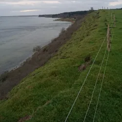 Louns Bredning Nature Reserve - Skive