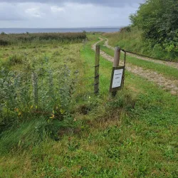Louns Bredning Nature Reserve - Skive