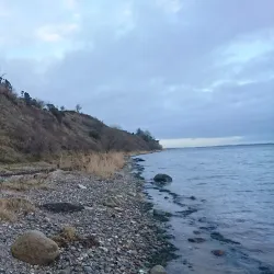 Louns Bredning Nature Reserve - Skive