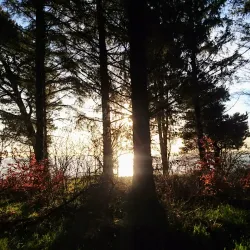 Louns Bredning Nature Reserve - Skive