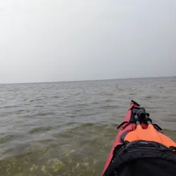 Louns Bredning Nature Reserve - Skive