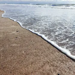 Holmsland Klit - Skjern