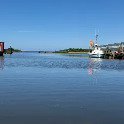 Ringkøbing Fjord - Skjern