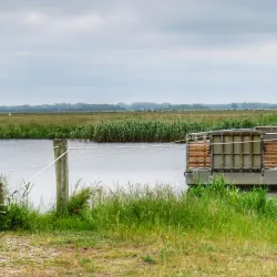 Skjern Heath (Skjern Hede) - Skjern