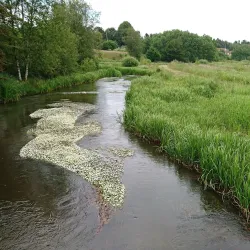 Skjern River (Skjern Å) - Skjern