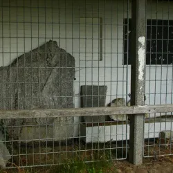 Antvorskov Monastery Ruins - Slagelse