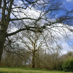 Antvorskov Monastery Ruins - Slagelse