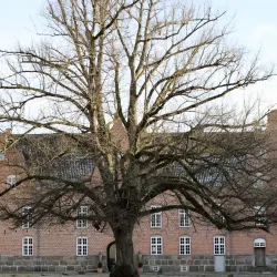 Holsteinborg Castle - Slagelse