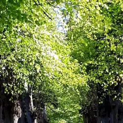 Holsteinborg Castle - Slagelse
