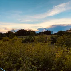 Lundtofte Park - Soeborg