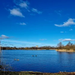 Utterslev Mose - Soeborg