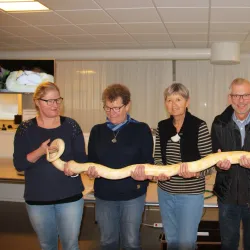 Struer Library - Struer