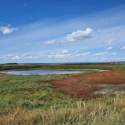 Venø Island - Struer