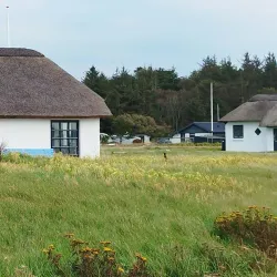 Venø Island - Struer