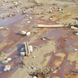 Lodbjerg Fyr (Lodbjerg Lighthouse) - Thisted