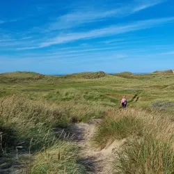 Lodbjerg Fyr (Lodbjerg Lighthouse) - Thisted