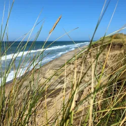 Lodbjerg Fyr (Lodbjerg Lighthouse) - Thisted