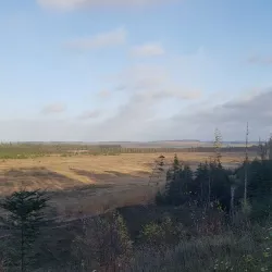 Nors Sø (Nors Lake) - Thisted