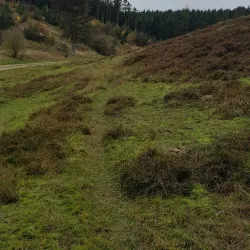 Nors Sø (Nors Lake) - Thisted