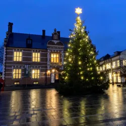 The Old Town Hall (Det Gamle Rådhus) - Thisted