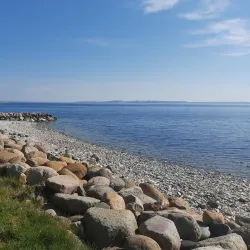 Thisted Harbour - Thisted