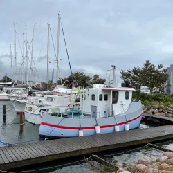 Thisted Harbour - Thisted