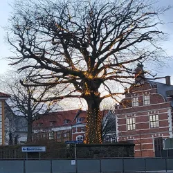 Thisted Museum - Thisted