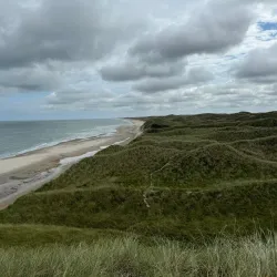 Thy National Park - Thisted